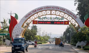Bình Thuận: Thiết lập vị trí dừng, đỗ cho xe khách để phòng, chống dịch COVID-19