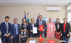 Việt Nam - Bulgaria mở rộng hợp tác trong đào tạo, nghiên cứu y khoa và dược phẩm 