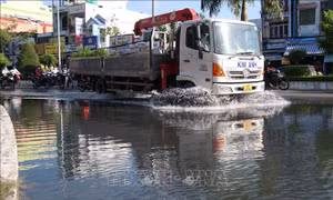 Cảnh báo triều cường tiếp tục dâng cao tại khu vực ven biển Nam Bộ
