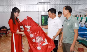 Kinh tế hợp tác thúc đẩy sản xuất hiện đại