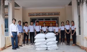 Hỗ trợ hơn 763 tấn gạo cho học sinh vùng khó khăn tỉnh Đắk Lắk