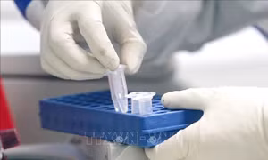Dịch COVID-19: Trung Quốc công bố phương pháp chẩn đoán, điều trị mới 