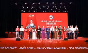Phiên thứ nhất Đại hội đại biểu toàn quốc Hội Chữ thập Đỏ Việt Nam lần thứ XII, nhiệm kỳ 2026-2031