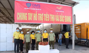 Các địa phương hỗ trợ tiêu thụ vải thiều Bắc Giang