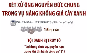 Xét xử sơ thẩm cựu Chủ tịch UBND TP Hà Nội Nguyễn Đức Chung trong vụ nâng khống giá cây xanh
