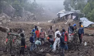 Tiếp tục tìm thấy nhiều thi thể sau bão Freddy ở Malawi