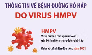 Thông tin về bệnh đường hô hấp do virus HMPV