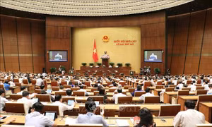 Thông cáo số 3, Kỳ họp thứ 7, Quốc hội khóa XIV