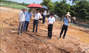 Hà Nội: Đề xuất khai quật khẩn cấp mộ gạch mới phát hiện tại huyện Đan Phượng