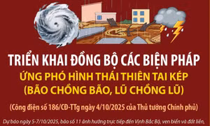Triển khai đồng bộ các biện pháp ứng phó hình thái thiên tai kép