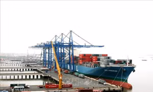Bà Rịa - Vũng Tàu thúc đẩy liên kết vùng trong phát triển kinh tế biển - Bài 1: Gắn kết trong phát triển vùng