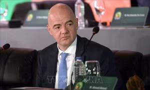 Làn sóng phản đối lan khắp châu Âu, FIFA đối diện yêu cầu cải tổ