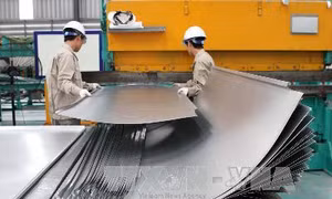 Rà soát lần 2 gia hạn biện pháp tự vệ với thép tấm không hợp kim nóng cuộn và không cuộn