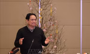 Thủ tướng Phạm Minh Chính kiểm tra tiến độ Dự án cao tốc Bắc - Nam phía Đông
