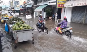 Bạc Liêu chủ động ứng phó, giảm thiệt hại do triều cường dâng cao