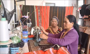 Ngày Quốc tế Phụ nữ 8/3: Tiếp sức phụ nữ tự tin khởi nghiệp