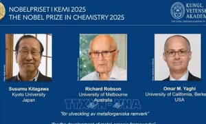 Nobel 2025: Cấu trúc phân tử góp phần giải quyết những thách thức lớn nhất của nhân loại