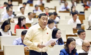 Quốc hội thảo luận về cơ chế xử lý khó khăn, vướng mắc do quy định của pháp luật
