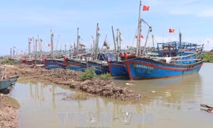 Không để người dân ở lại tàu thuyền, lồng bè khi bão đổ bộ đảm bảo an toan cho người dân