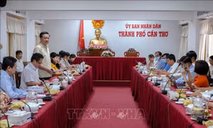 Cần Thơ tìm phương án xử lý việc ùn ứ rác thải sinh hoạt  