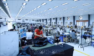 Hiệp định CPTPP - Cơ hội và thách thức với xuất khẩu Việt Nam