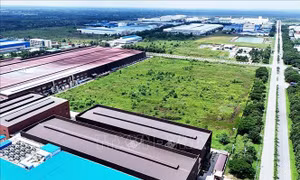Chính phủ quy định giảm 30% tiền thuê đất năm 2024