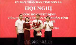 Sơn La kiện toàn bộ máy lãnh đạo cấp sở