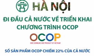 Hà Nội đi đầu cả nước về triển khai chương trình OCOP