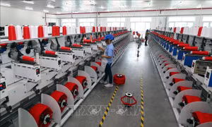 Để tận dụng ưu thế của EVFTA, cần đổi mới tư duy của doanh nghiệp
