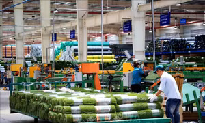 7 tháng, Việt Nam thu hút hơn 16 tỷ USD vốn FDI