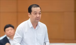 Huy động các thành phần kinh tế tham gia xây dựng hạ tầng viễn thông