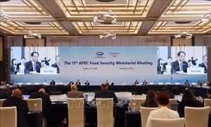 Hội nghị APEC về An ninh Lương thực: Việt Nam đề xuất 4 hướng hợp tác chiến lược
