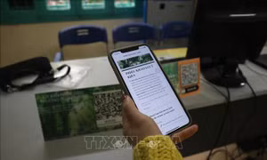 Giấy tờ số hóa chưa được đảm bảo giá trị pháp lý