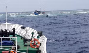 46 ngư dân Quảng Ngãi gặp nạn trên biển đã trở về đất liền an toàn