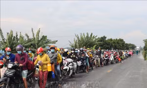 Sớm có dữ liệu về thị trường lao động để điều tiết tốt nhất