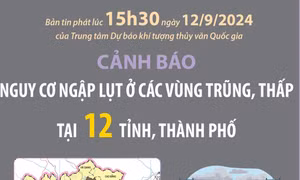 Cảnh báo nguy cơ ngập lụt ở các vùng trũng, thấp tại 12 tỉnh, thành phố