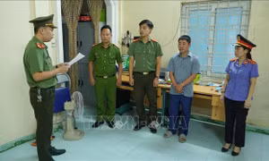 Khởi tố 3 công ty trốn thuế gần 80 tỷ đồng