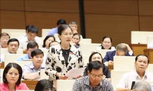 Kỳ họp thứ 8, Quốc hội khoá XV: Quản lý thuốc trên sàn thương mại điện tử