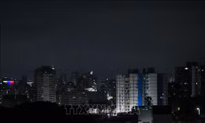 Đại sứ quán Việt Nam tại Venezuela lập kênh liên lạc khẩn cấp
