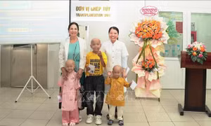 Ghép tủy thành công cho 3 bệnh nhi mắc Thalassemia và u nguyên bào thần kinh