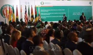 Niger, Mali và Burkina Faso chính thức rời khỏi ECOWAS
