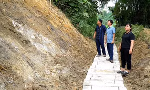Khôi phục hệ thống thủy lợi vùng rốn lũ