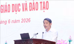 Chú trọng mô hình liên kết '3 nhà' trong phát triển đại học đổi mới sáng tạo
