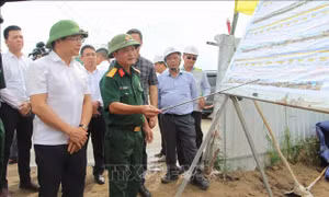 Xây dựng kế hoạch cụ thể thi công cao tốc bám sát nguồn cung vật liệu 