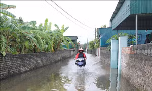 Cập nhật thiệt hại ban đầu do bão số 4