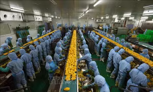 Động lực mới nâng tầm vị thế Việt Nam