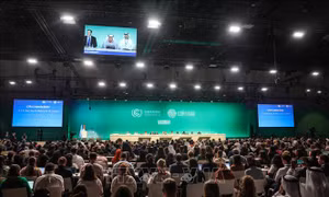 COP28: Vẫn chưa có thỏa thuận kích hoạt thị trường giao dịch carbon