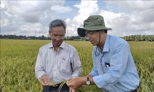 Người thầy của những 'kỹ sư chân đất'
