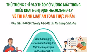 Thủ tướng chỉ đạo tháo gỡ vướng mắc trong triển khai Nghị định 46/2026/NĐ-CP 