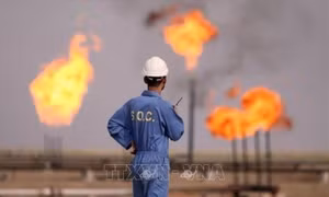 Giá dầu thô kéo dài đà giảm trước tiến triển đàm phán Mỹ-Iran
